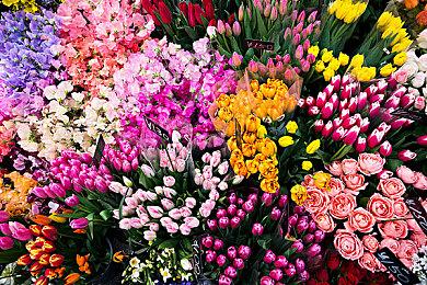 《剑星》发布PS5与PC新补丁 增强升级照片模式